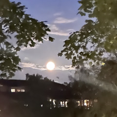 Pallar Inte Mer (2021)