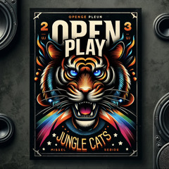Open Play 1 Mix - SB Jungle Cats