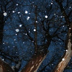 THE UNQUIET NIGHT