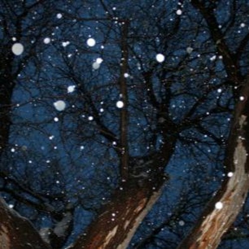 THE UNQUIET NIGHT