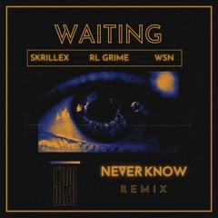 Skrillex X RL Grime X WSN - Waiting (Never Know Remix)