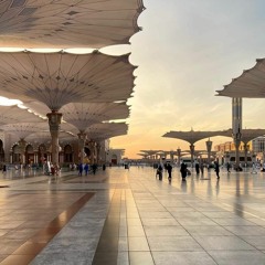قَالَ إِنَّمَا أُوتِيتُهُ عَلَىٰ عِلْمٍ عِندِي | ماهر المعيقلي