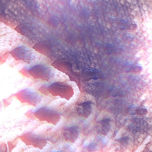 July - Noah Cyrus (Acoustic Cover)