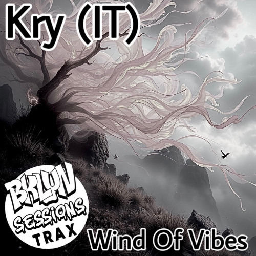 Kry (IT) - Wind of Vibes