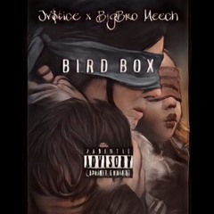 Jv$tice - BirdBox Ft BigBro Meech