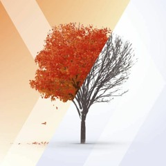 Season Of Change