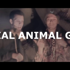 ROBIN ZOOT /// SOCIAL ANIMAL GANG /// RETROBOY /// KUCI BEATZ /// 1028