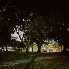 Night Soundscape at USJ 2 garden