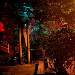 all night at TES Garden, Tbilisi, Dec30th'23 pt2