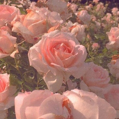 ELVIA X EYEDRESS - COTTON CANDY SKIES