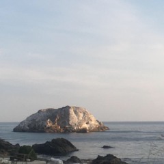 ひまのうた Himanouta