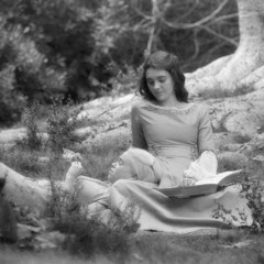 golden brown x love story