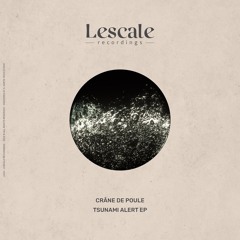 Crâne De Poule - Tsunami Alert (Original Mix)