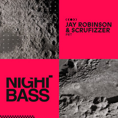 Jay Robinson & Scrufizzer - PRT