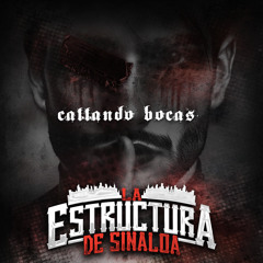 Toñito Chaidez