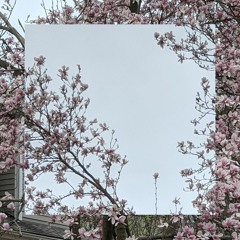 sicko mode 2... the sickening returns