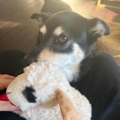 downonmyluck ##ssleeeppover 💤😴😴