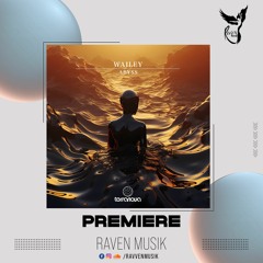 PREMIERE: Wailey - Eyes Of The Abyss (Original Mix) [Terranova Records]