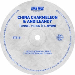 China Charmeleon & AndileAndy feat. Ziyon 'Tunnel Vision'(Rocco Rodamaal Remix)
