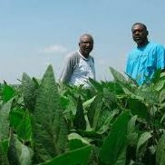 Organic Farm Stand -- March 7, 2024 -- A Family Farm in the Mississippi Delta