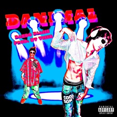 Danimal prod Vizer