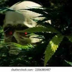 Axgxst!-Im Green