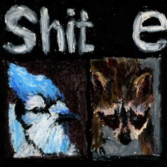 Shit e