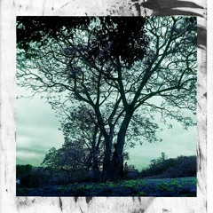 Screwed Up Ft. LaZyMu$iq (Single)