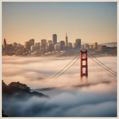 Foggy Nights