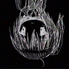 Shoebill - improvised mashcore but drums only