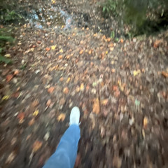 Your riding with me noble six