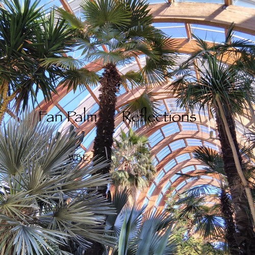 Fan Palm Reflections