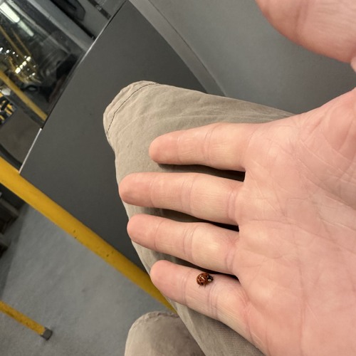 hold me close