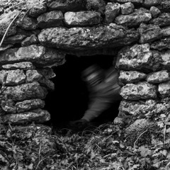 FLEURS - prod by Sonar