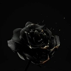 EXIT - $ODAMAN (piegemal + enxobazzel)