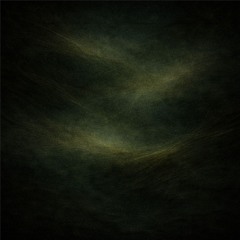 What You See In Plants