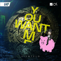 Hands in the Air X Sientelo X You Want Me (Edit)