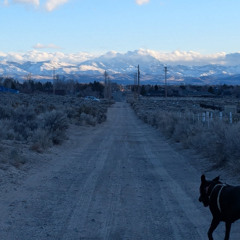 That Empty Road