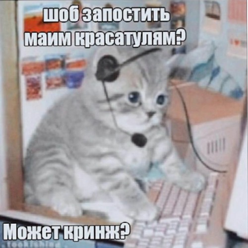 Stream My Chop by dripacoola Listen online for free on SoundCloud