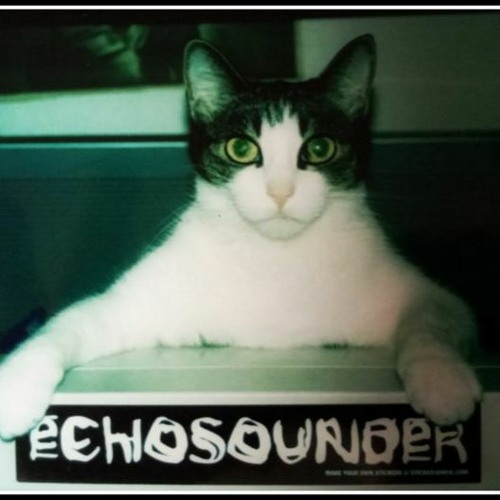 blind inside - Echosounder (Demo)