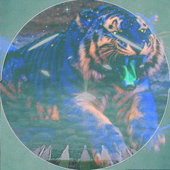 Schimmerdunst - In Frieden mit dem Maeng da Tiger