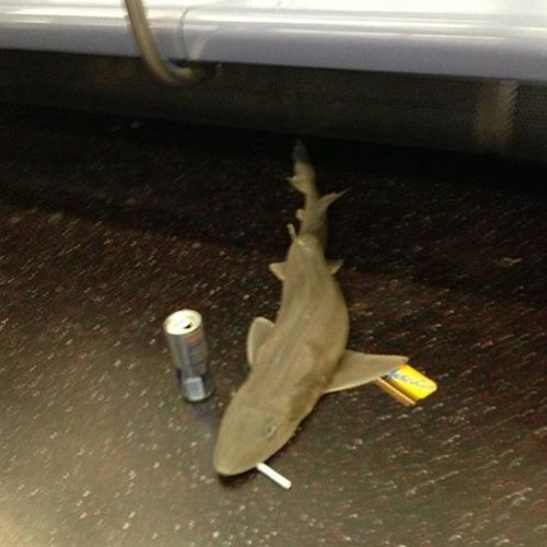 holler zuechose b2b mit frenklins