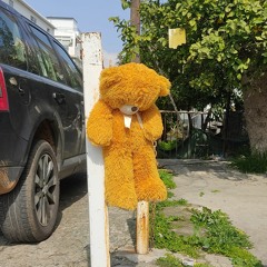 diplo cambinho prod pannybrown