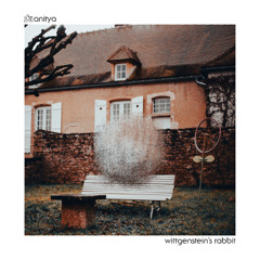 "Wittgenstein´s Rabbit" - Anitya