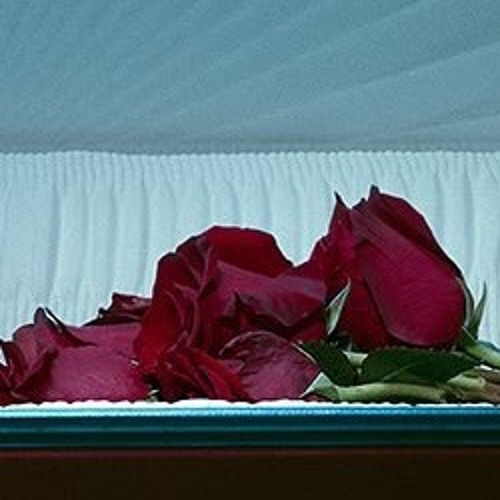 Blaming Virgil - Virgil (Dave Blunts Ref)