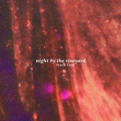 night by the vineyard