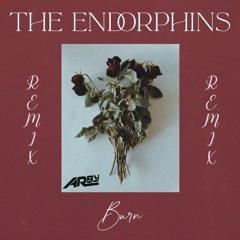 The Endorphins - Burn (Arby Remix)