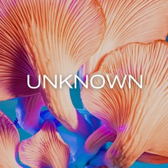 Unknown - Noah Edwards