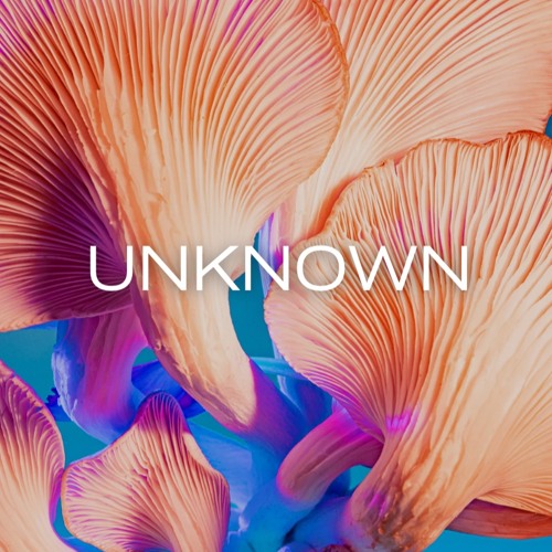 Unknown - Noah Edwards