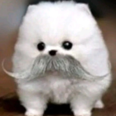 RR(more beats in my telegram channel)